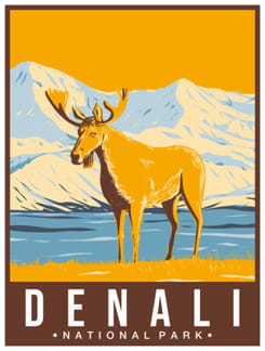 Denali - Alaska